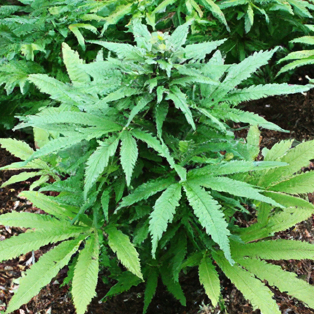 Mastering Cannabis Companion Planting