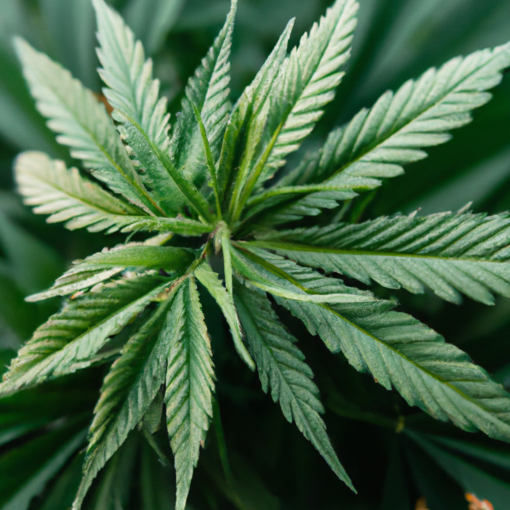 The Lost Art of Cannabis-Infused Beverages