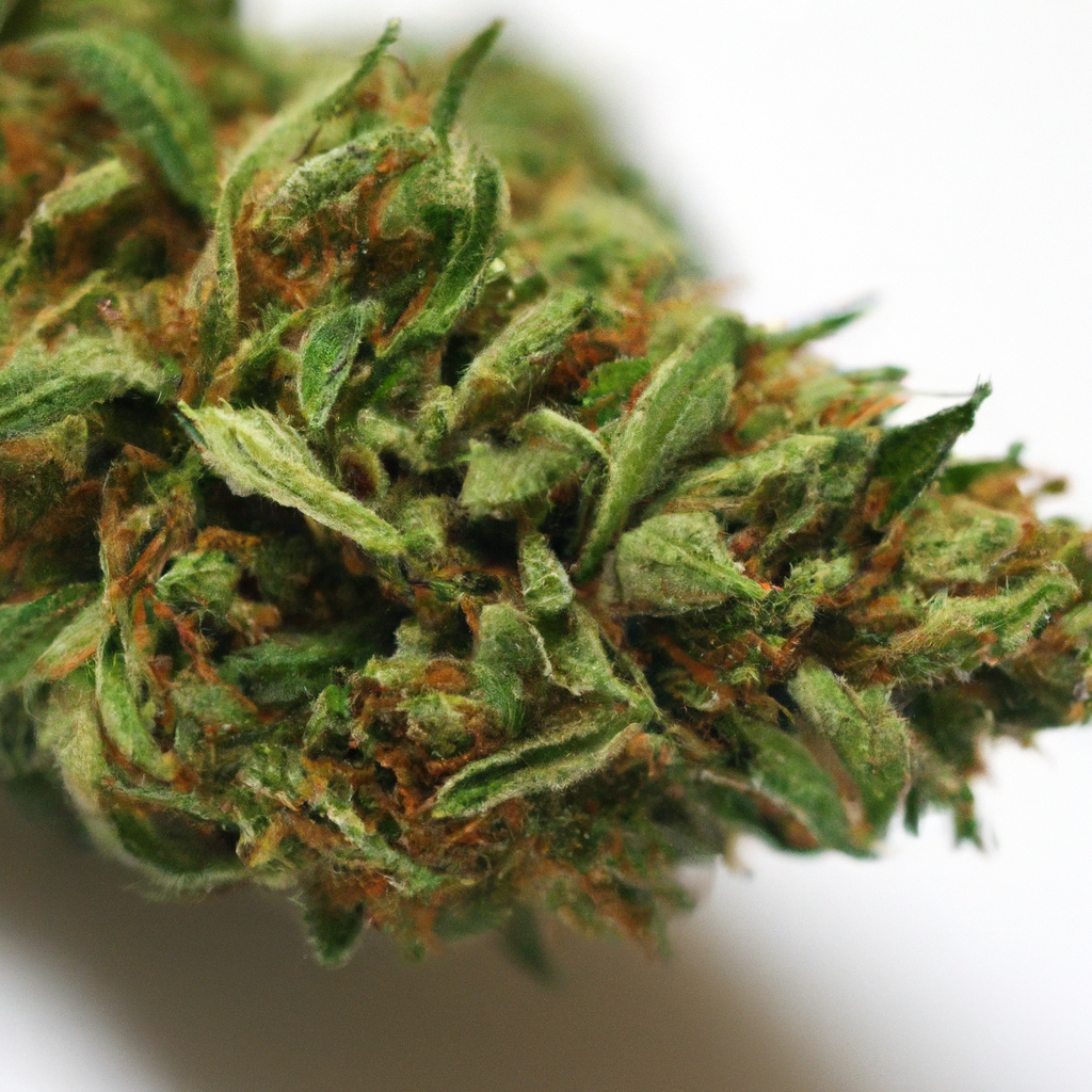 Unlocking Cannabis Aromas: Understanding the Science and Impact