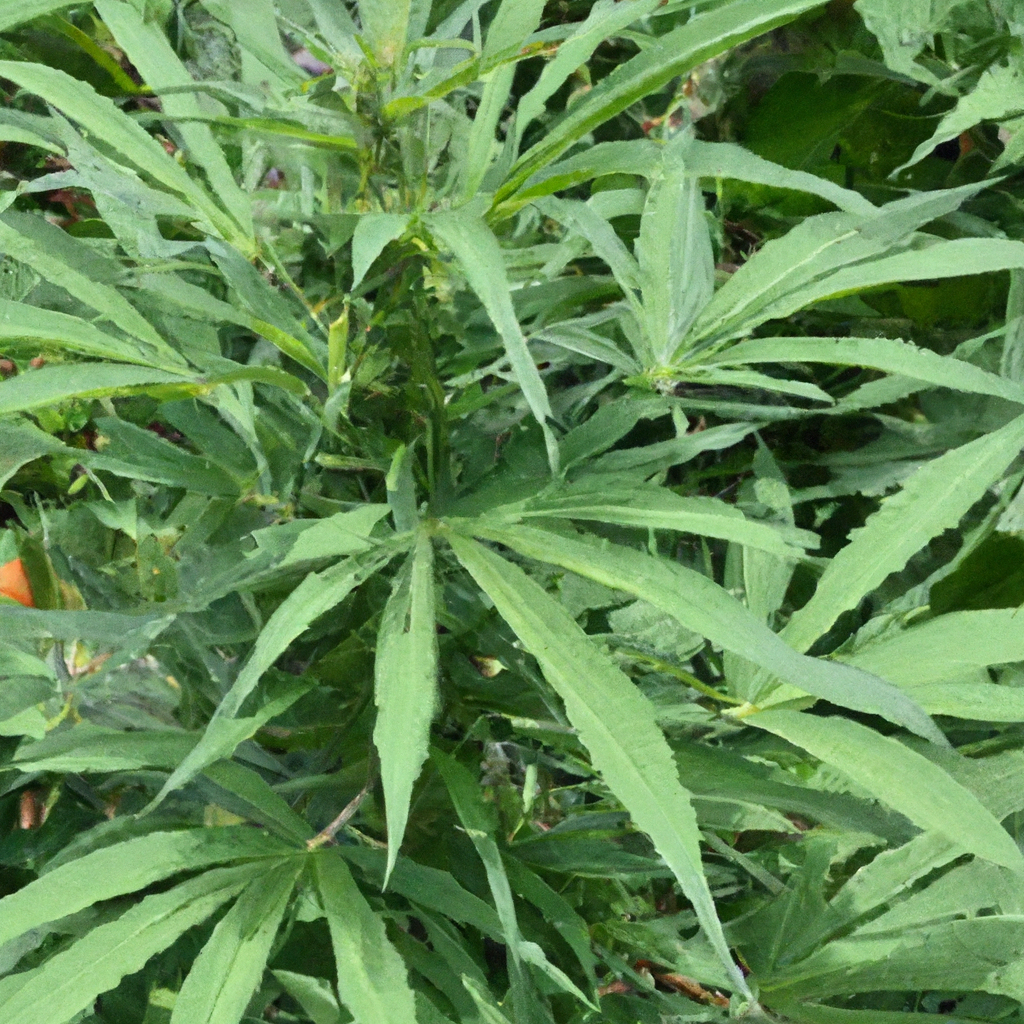 Mastering Cannabis Pest Management: Integrated Solutions