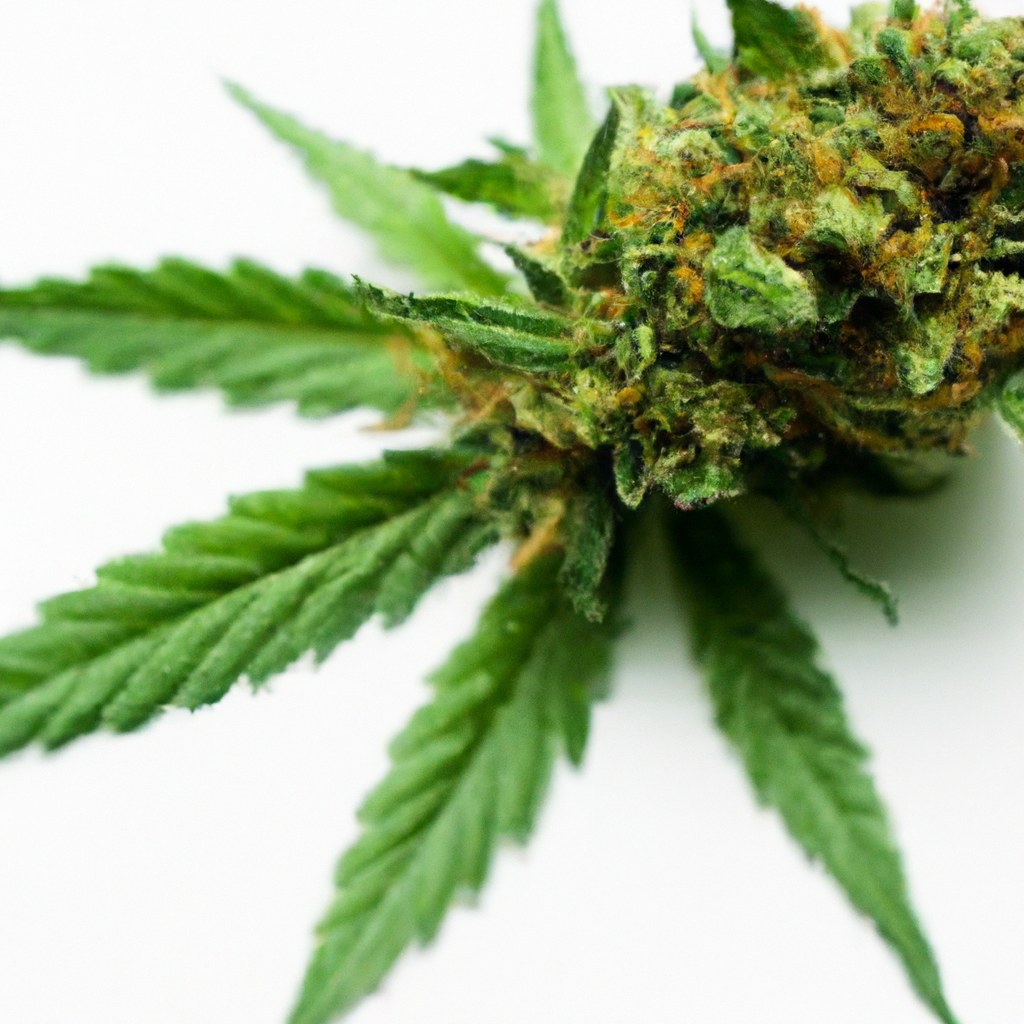 Cannabis and the Science of Cannabinoids: Understanding the Essentials